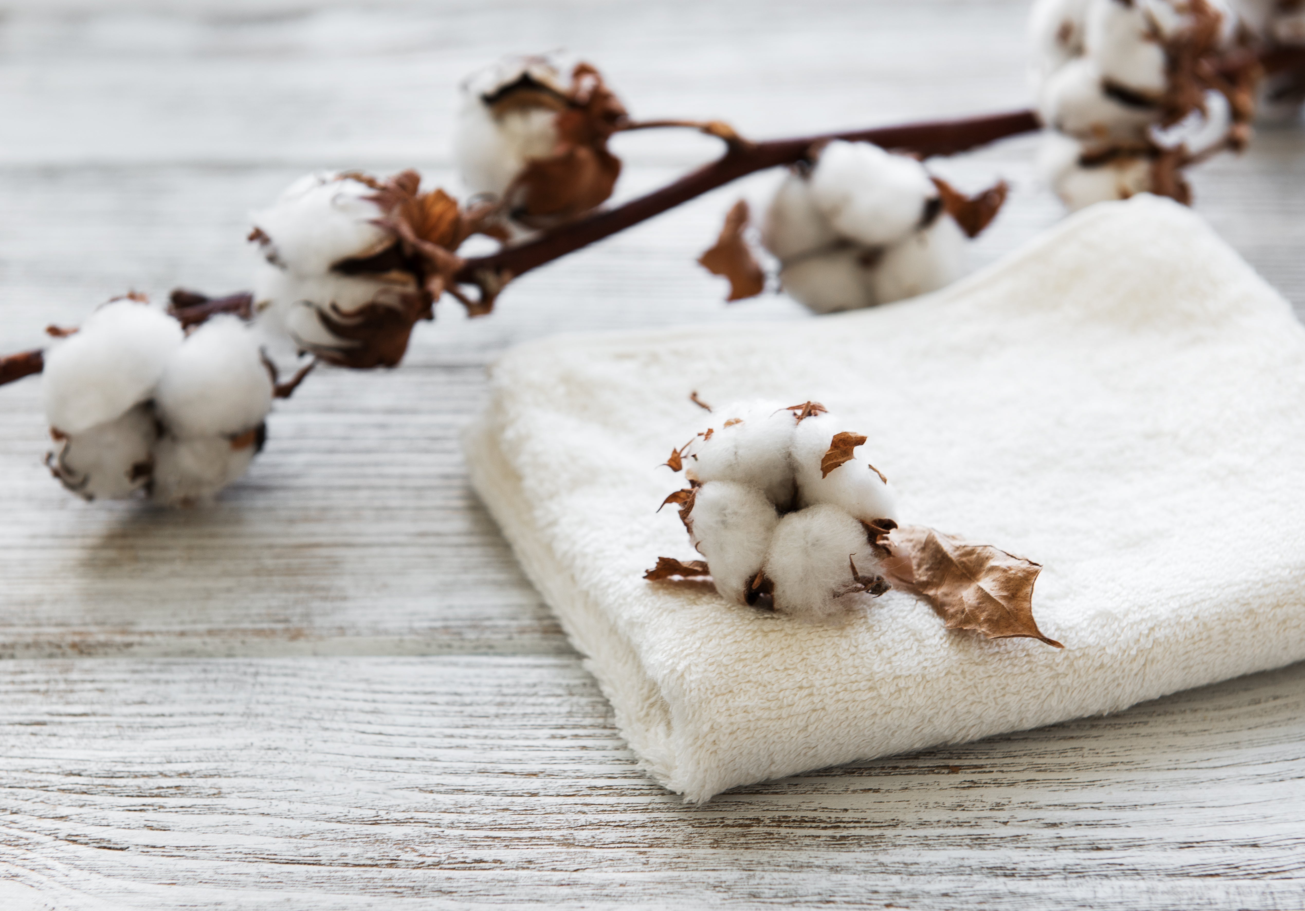 Advantage of Sustainable Bed Linen