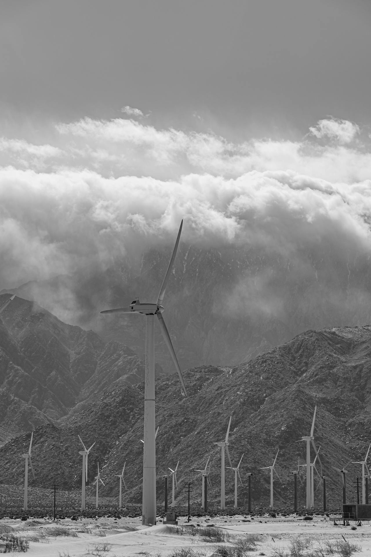 Carbon Foot Print Impact
