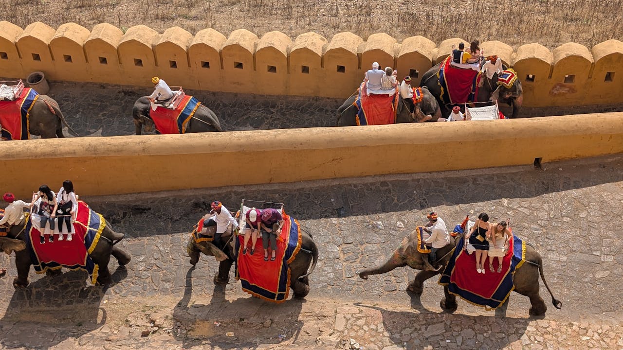 Amber Elephant ride