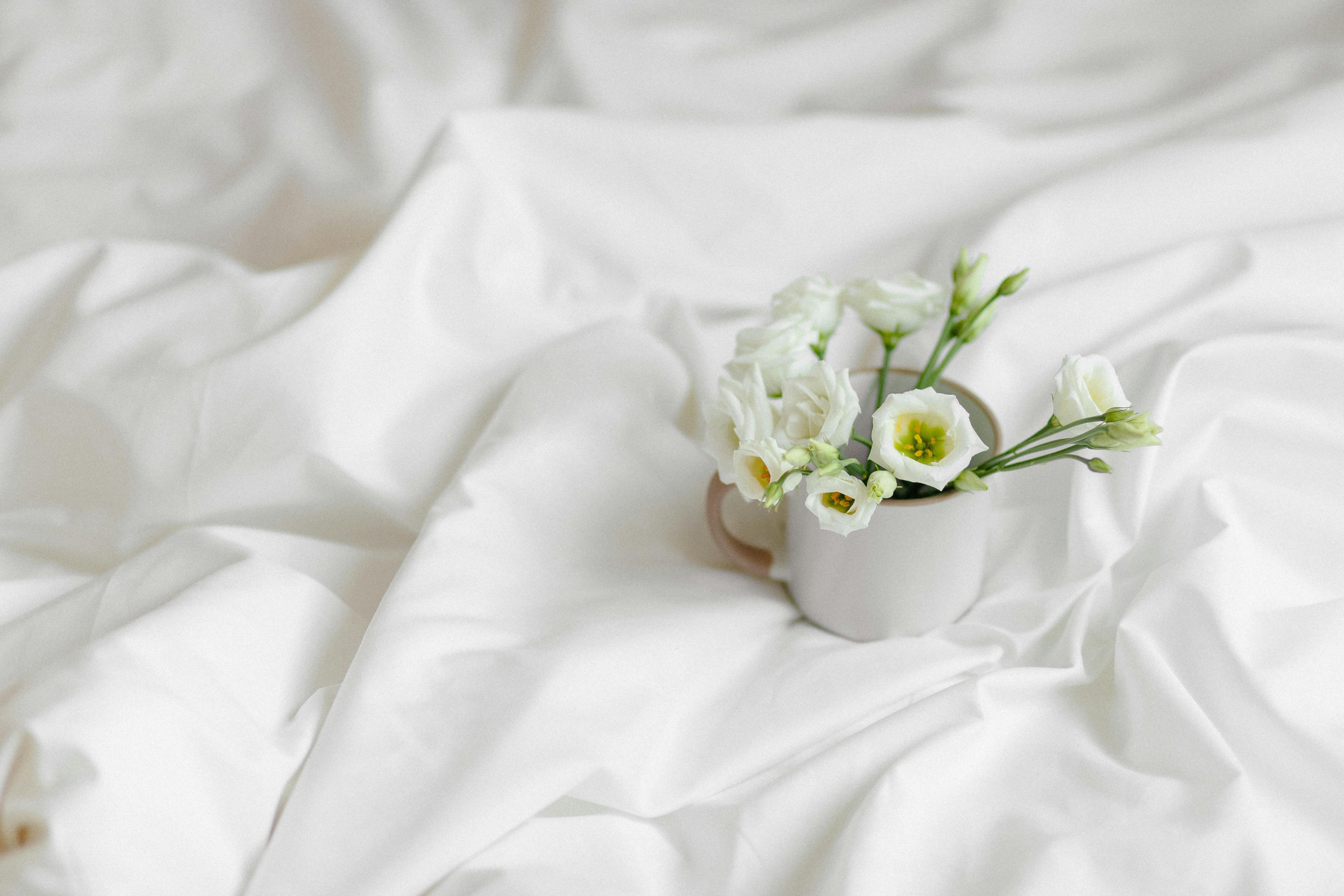 Organic Bedding